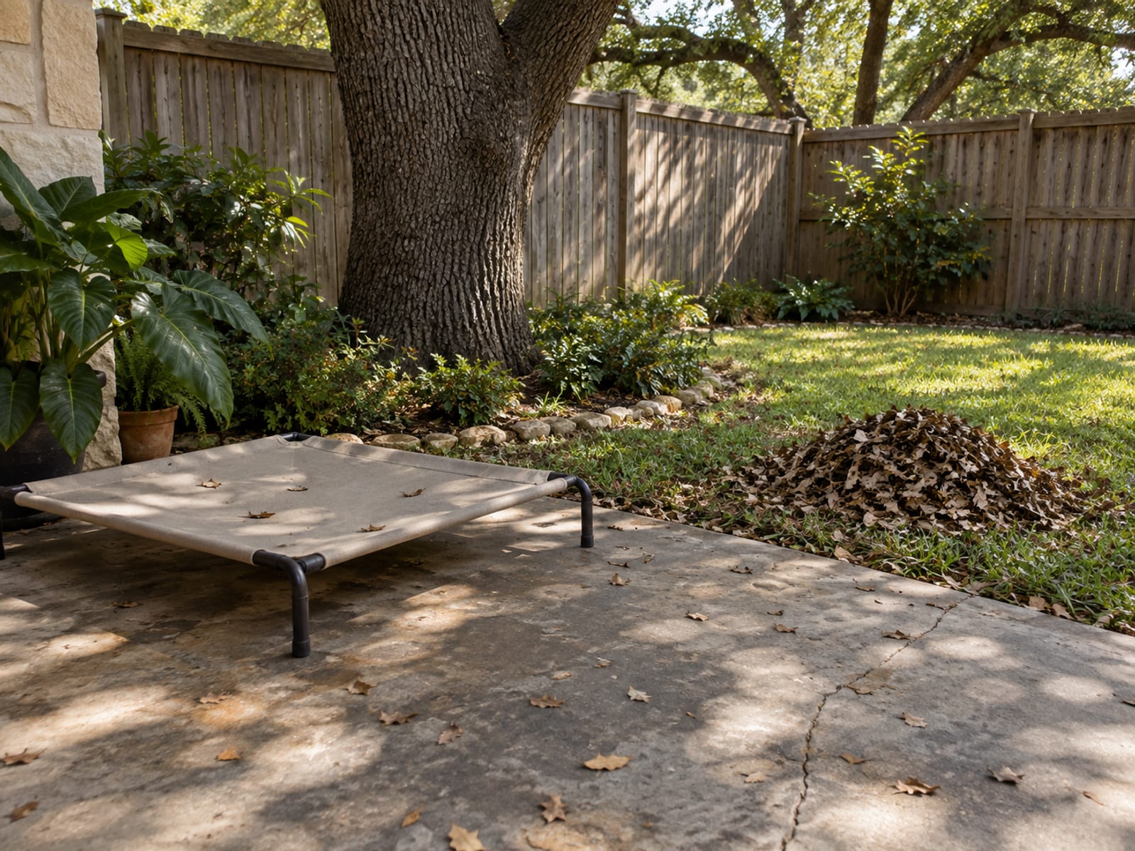 Shaded concrete patio under a live oak with an empty dog bed and a raked pile of leaves at the lawn's edge